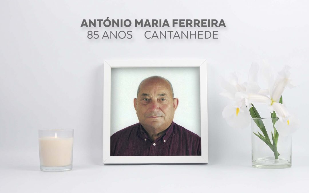 António Maria Ferreira