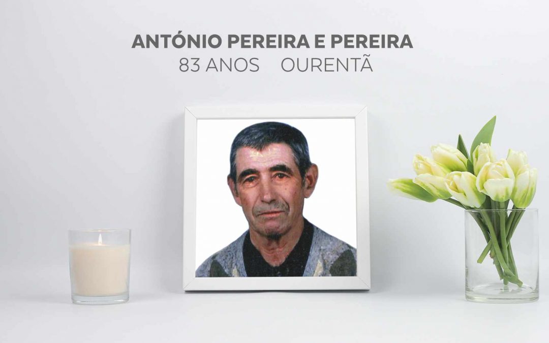 António Pereira e Pereira