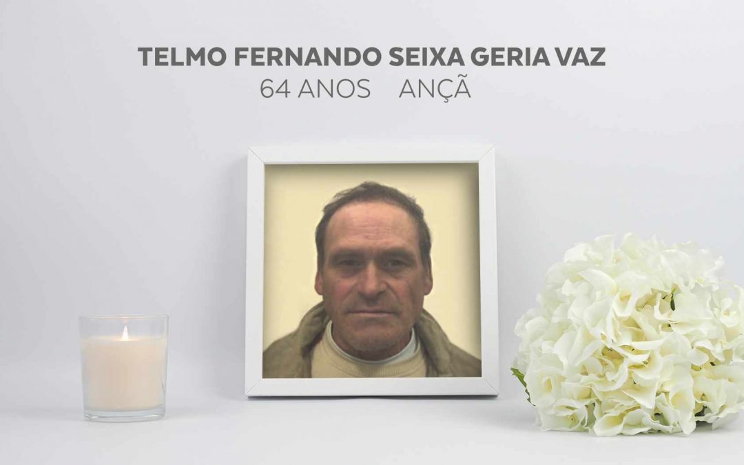 Telmo Fernando Seixa Geria Vaz
