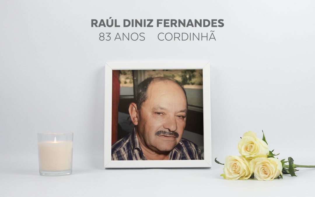 Raúl Diniz Fernandes