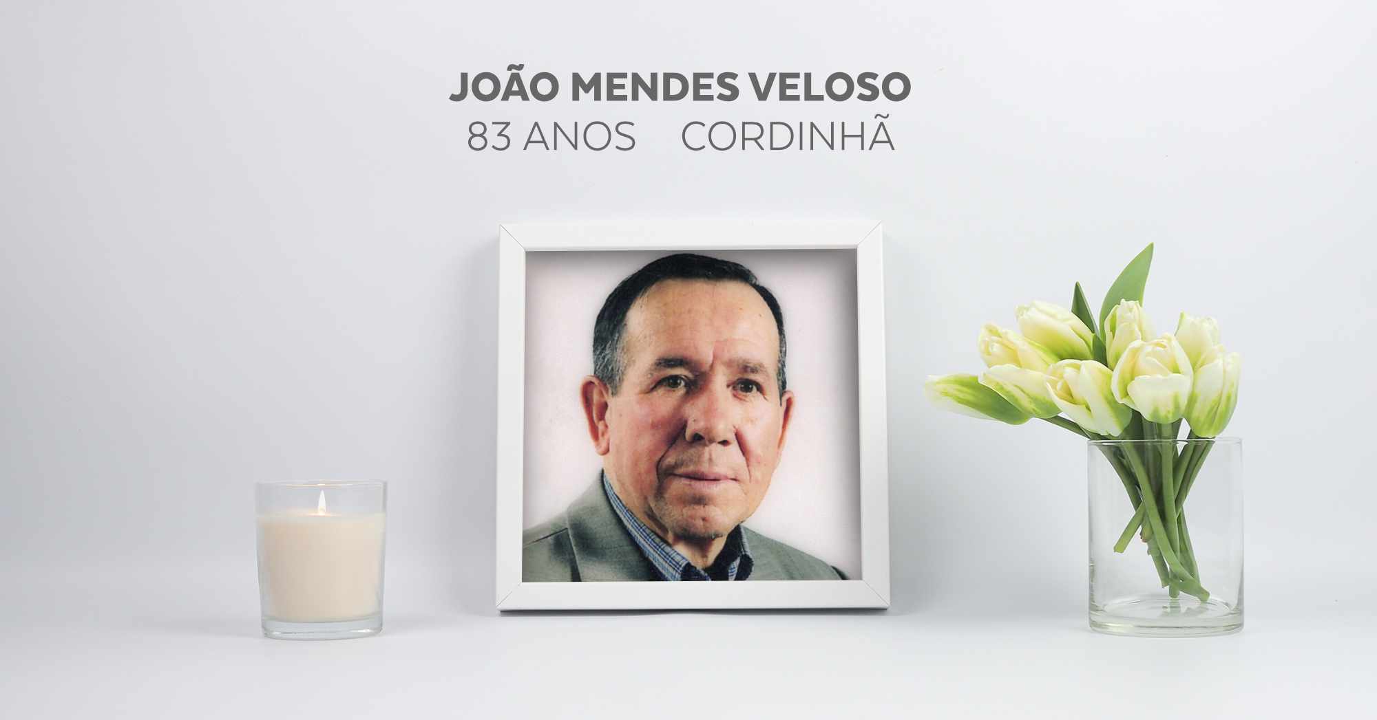João Mendes Veloso