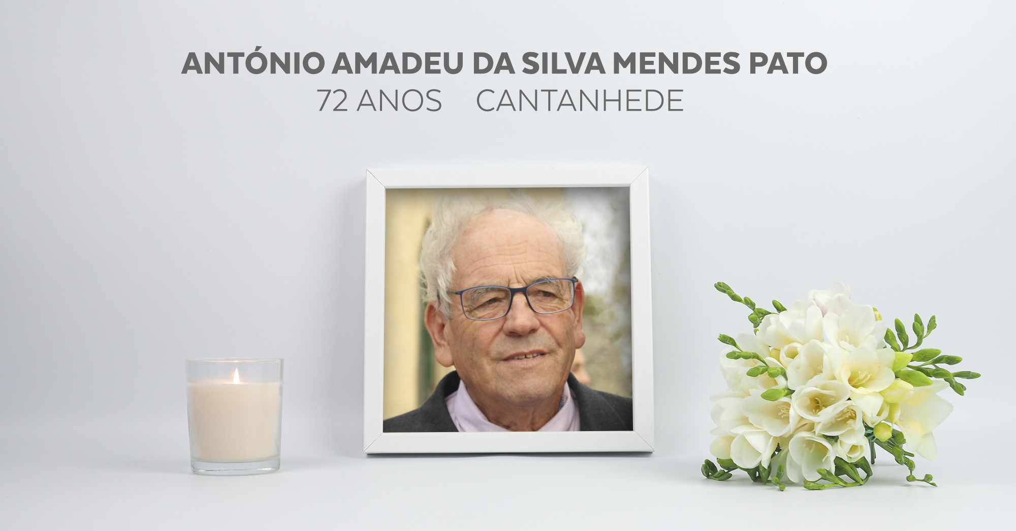 António_Amadeu_da_Silva_Mendes_ teste