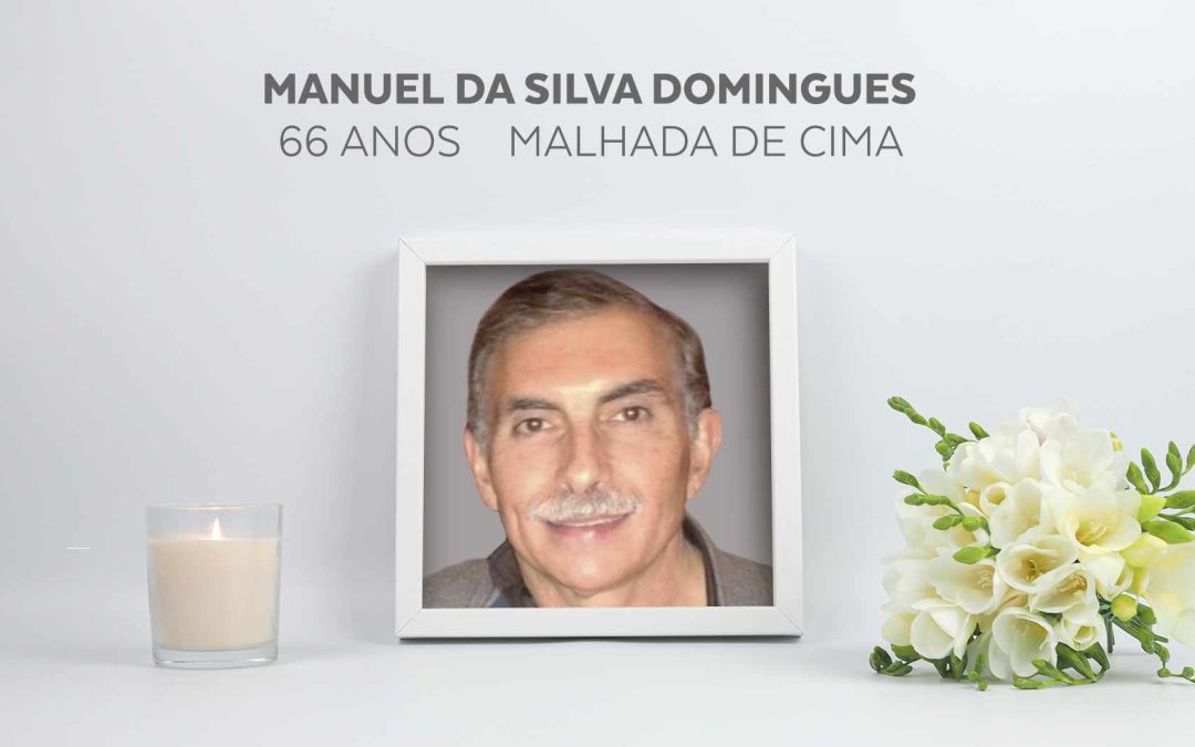 Manuel da Silva Domingues