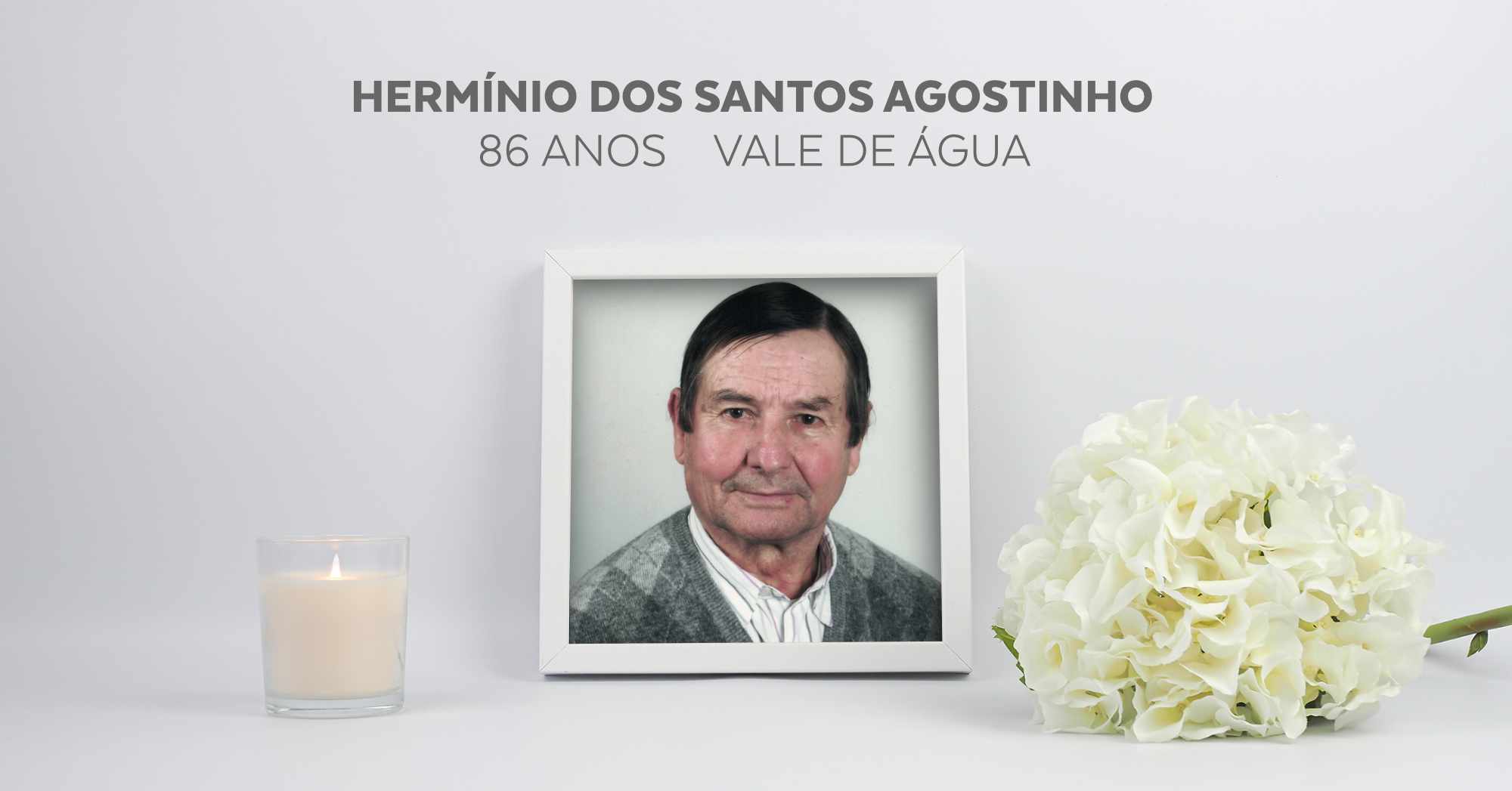 Hermínio dos Santos Agostinho