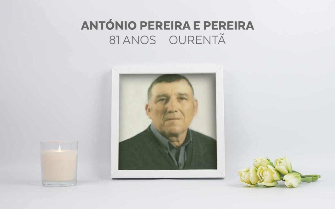 António Pereira e Pereira