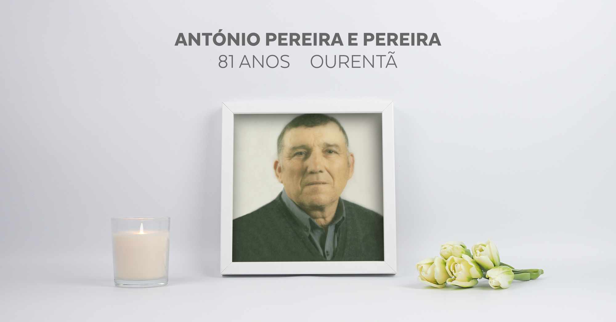 António Pereira e Pereira