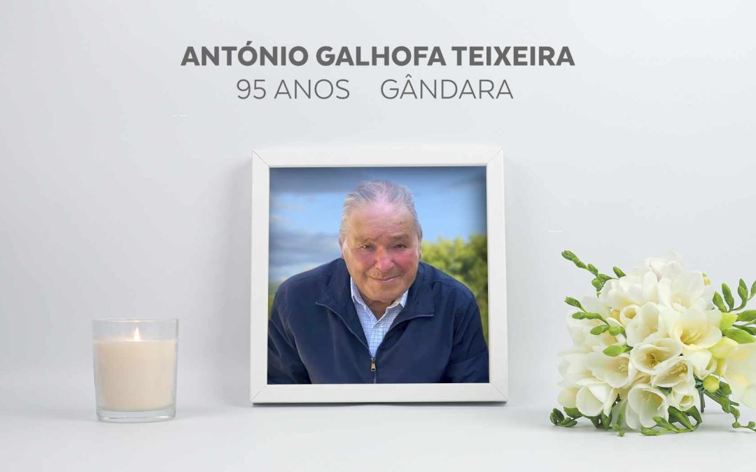 António Galhofa Teixeira