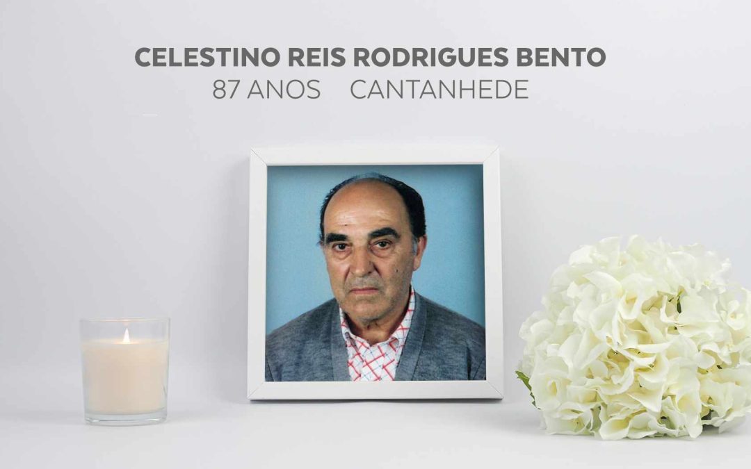 Celestino Reis Rodrigues Bento