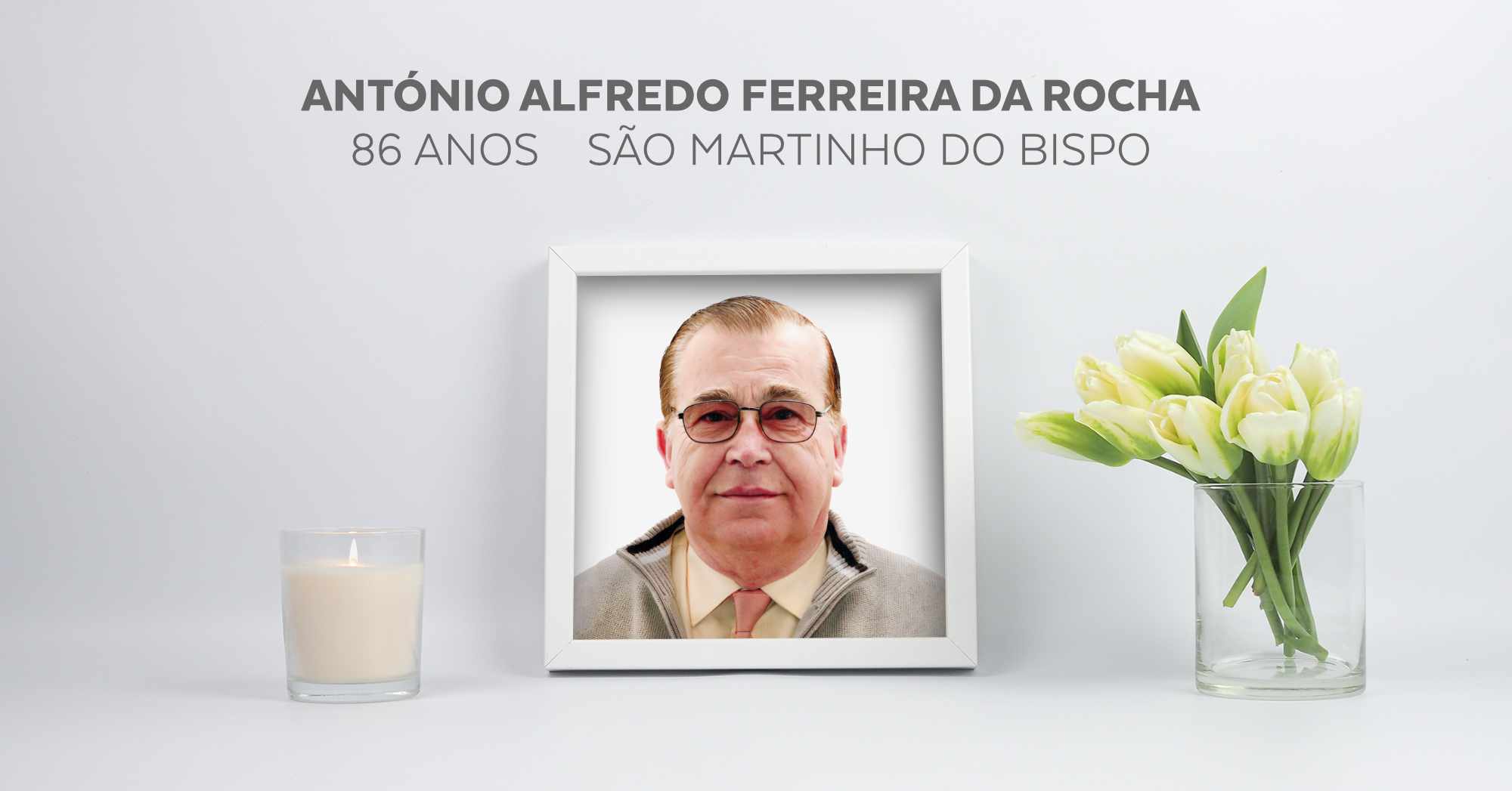 António Alfredo Ferreira da Rocha