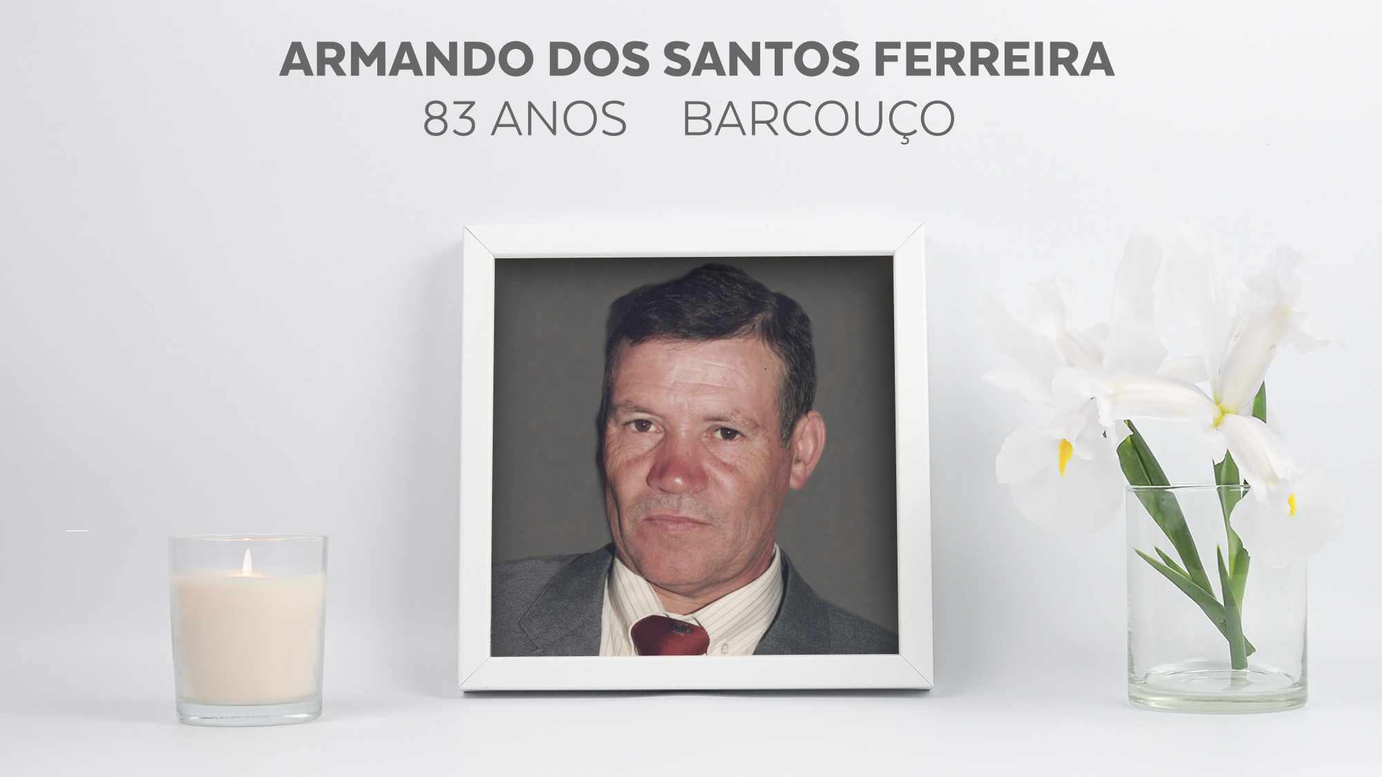 Armando dos Santos Ferreira