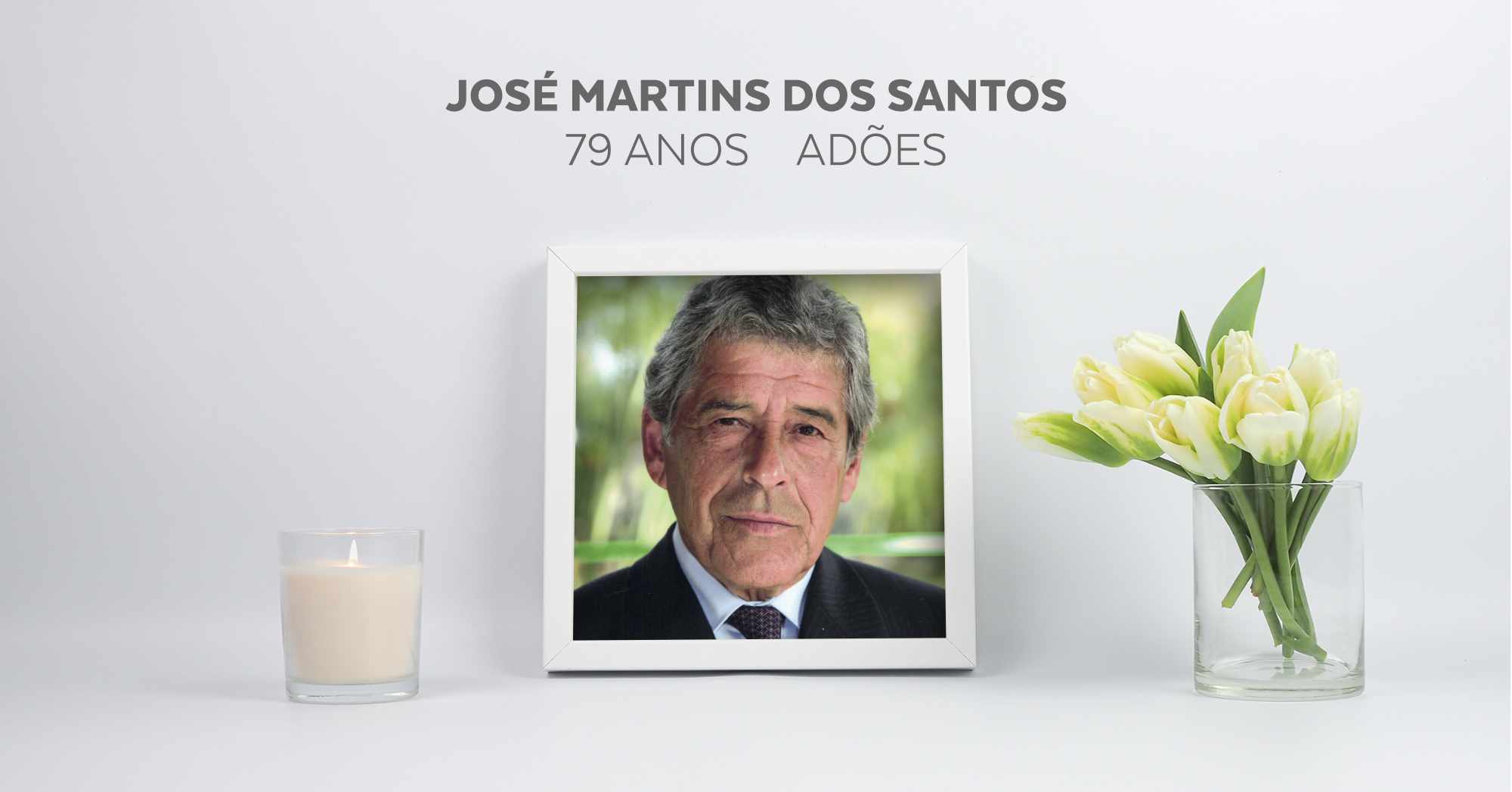 José Martins dos Santos