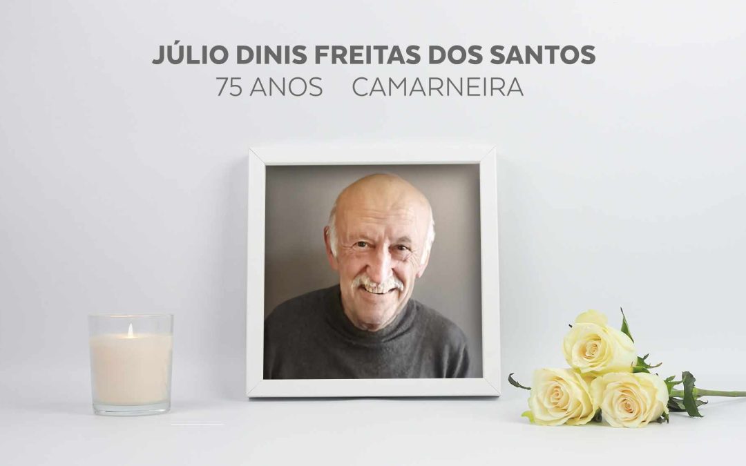 Júlio Dinis Freitas dos Santos