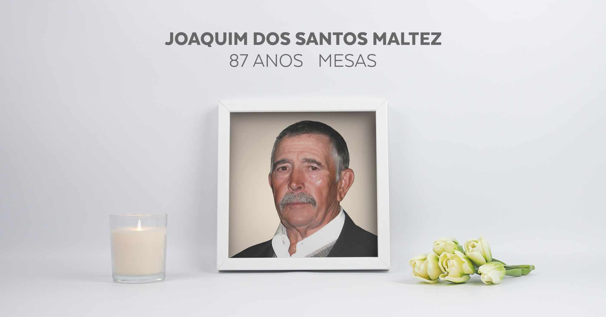 Joaquim dos Santos Maltez