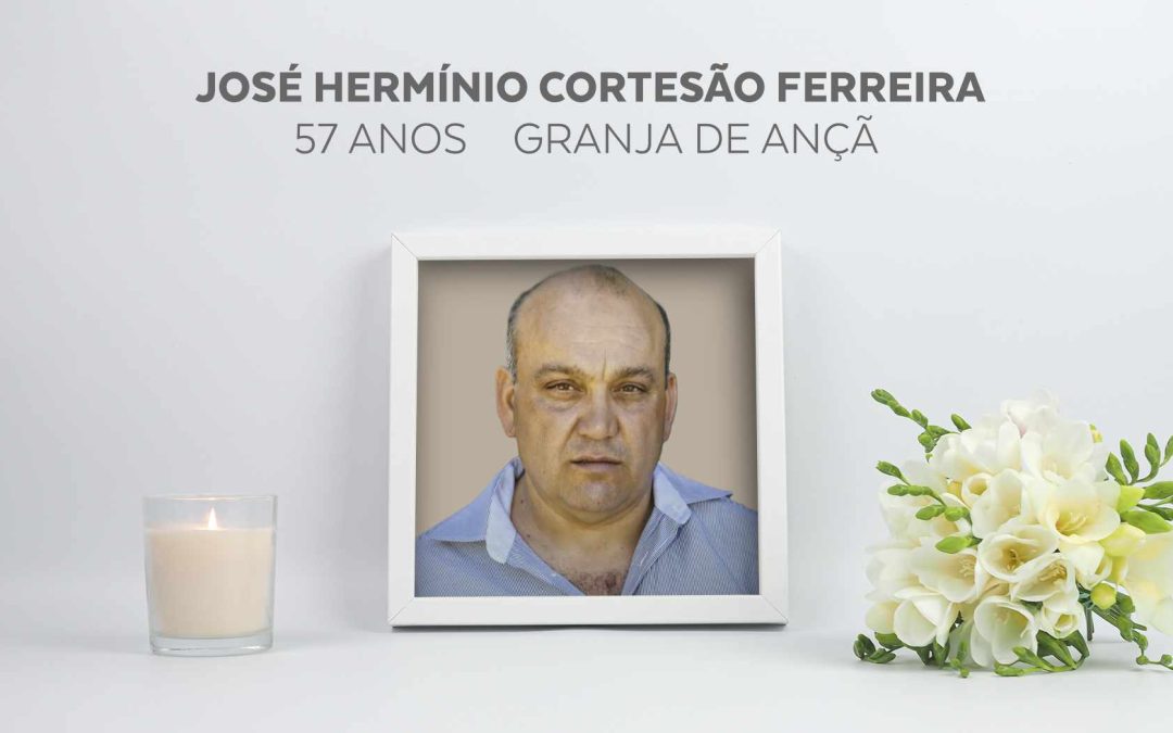José Hermínio Cortesão Ferreira